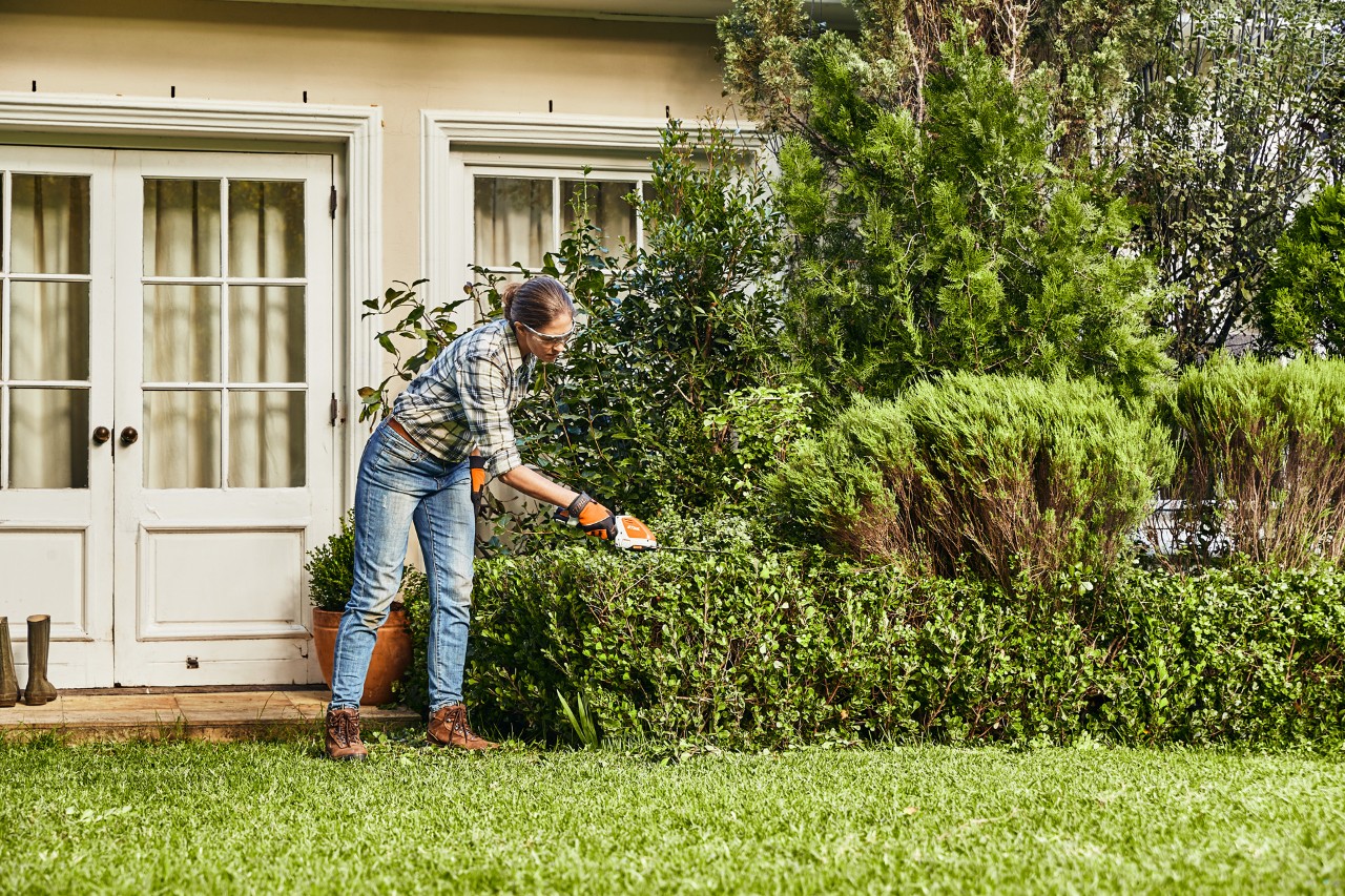Kobieta przycinająca płaski i niski żywopłot akumulatorowymi nożycami do żywopłotu STIHL HSA 26 obok drzwi wejściowych 